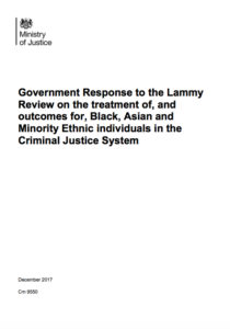 lammy-response