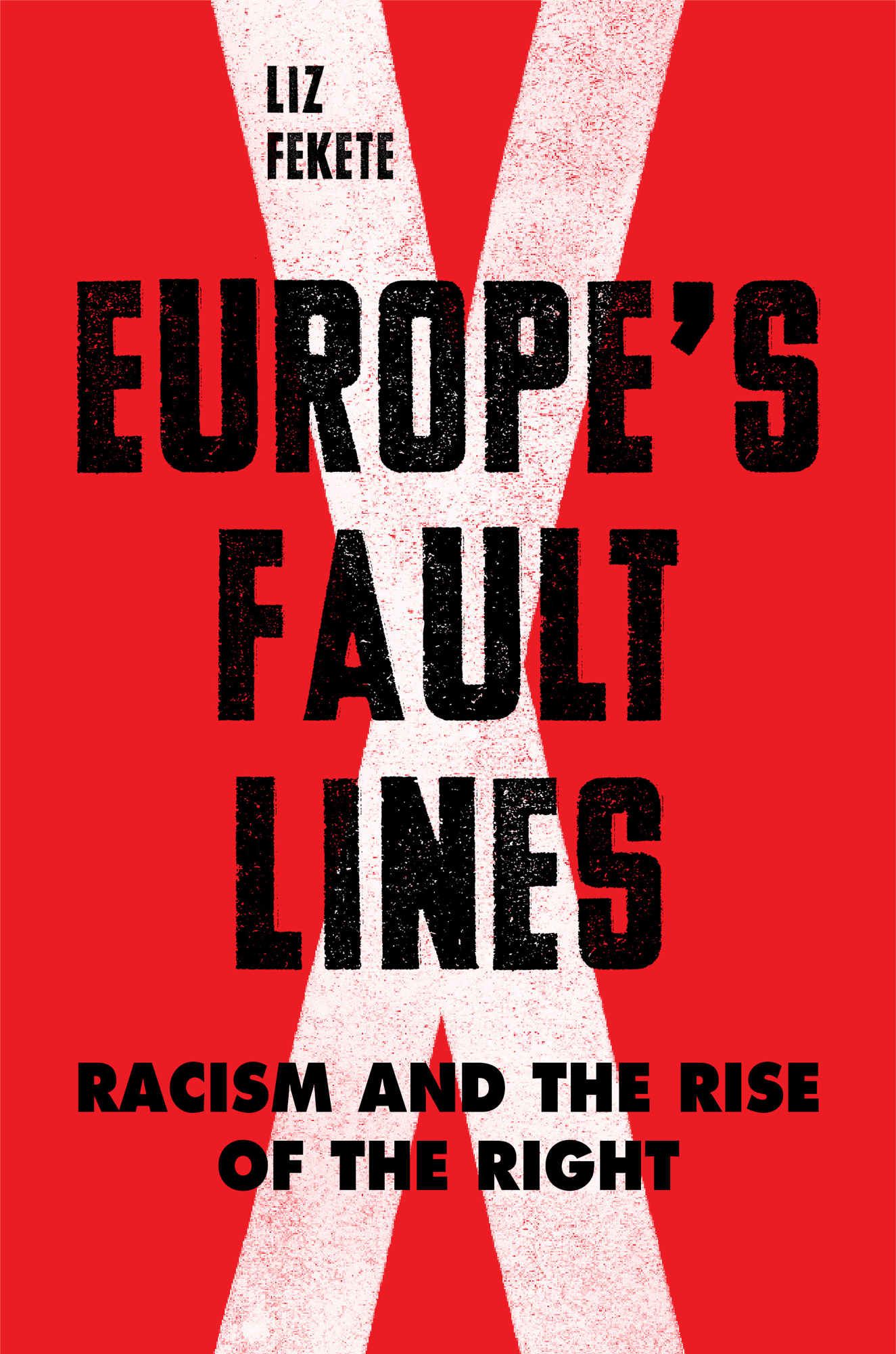 Europe’s Fault Lines: Racism and the Rise of the Right