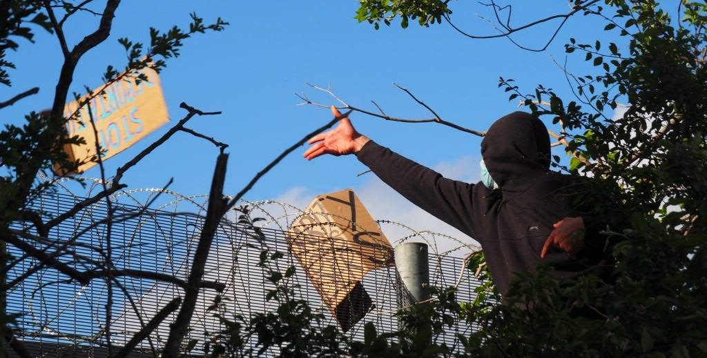 A protester in a tree outside Brook House detention centre, Gatwick